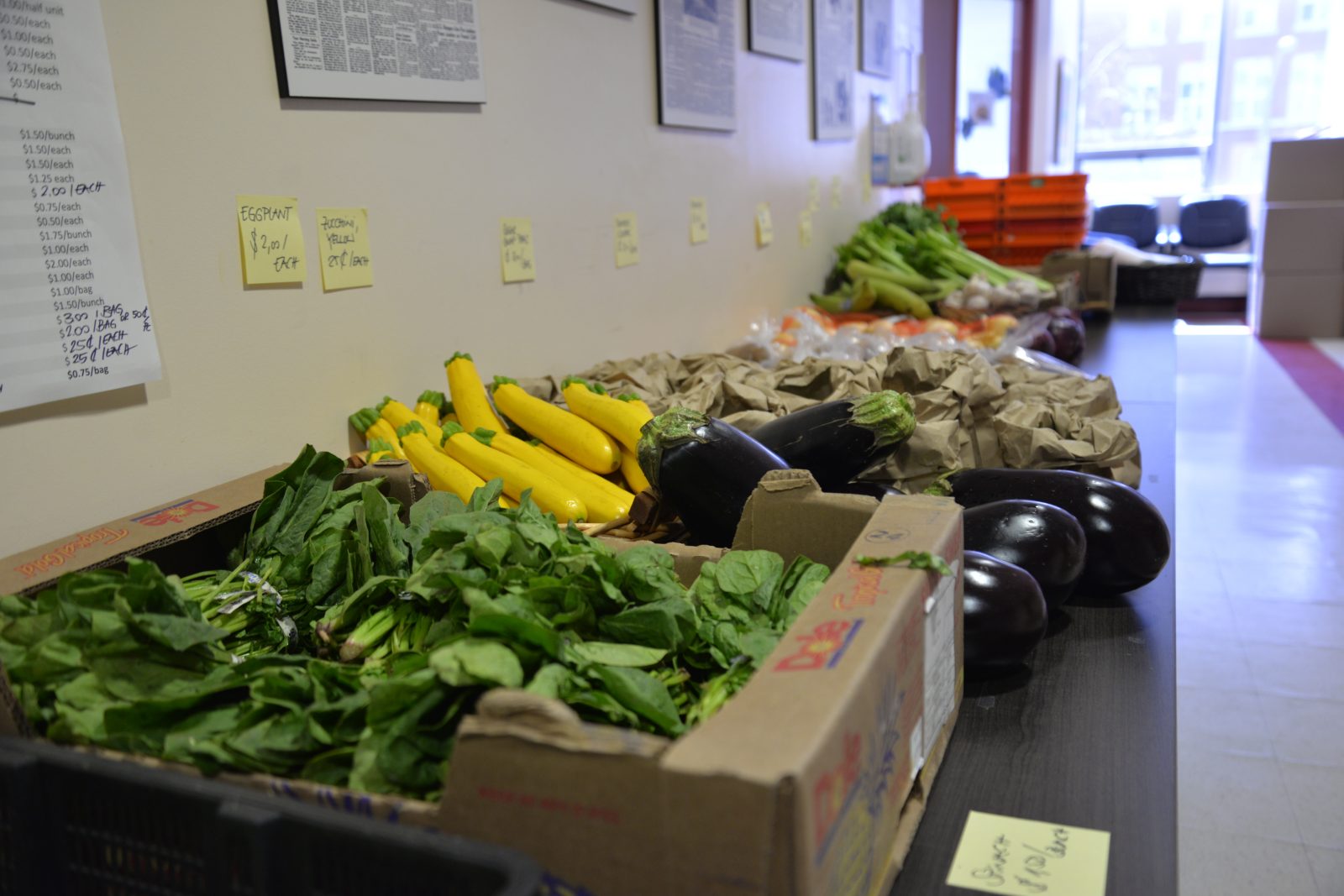 variety of fresh vegetables