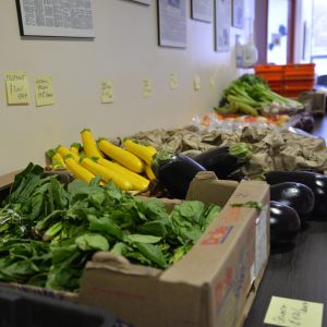 variety of fresh vegetables